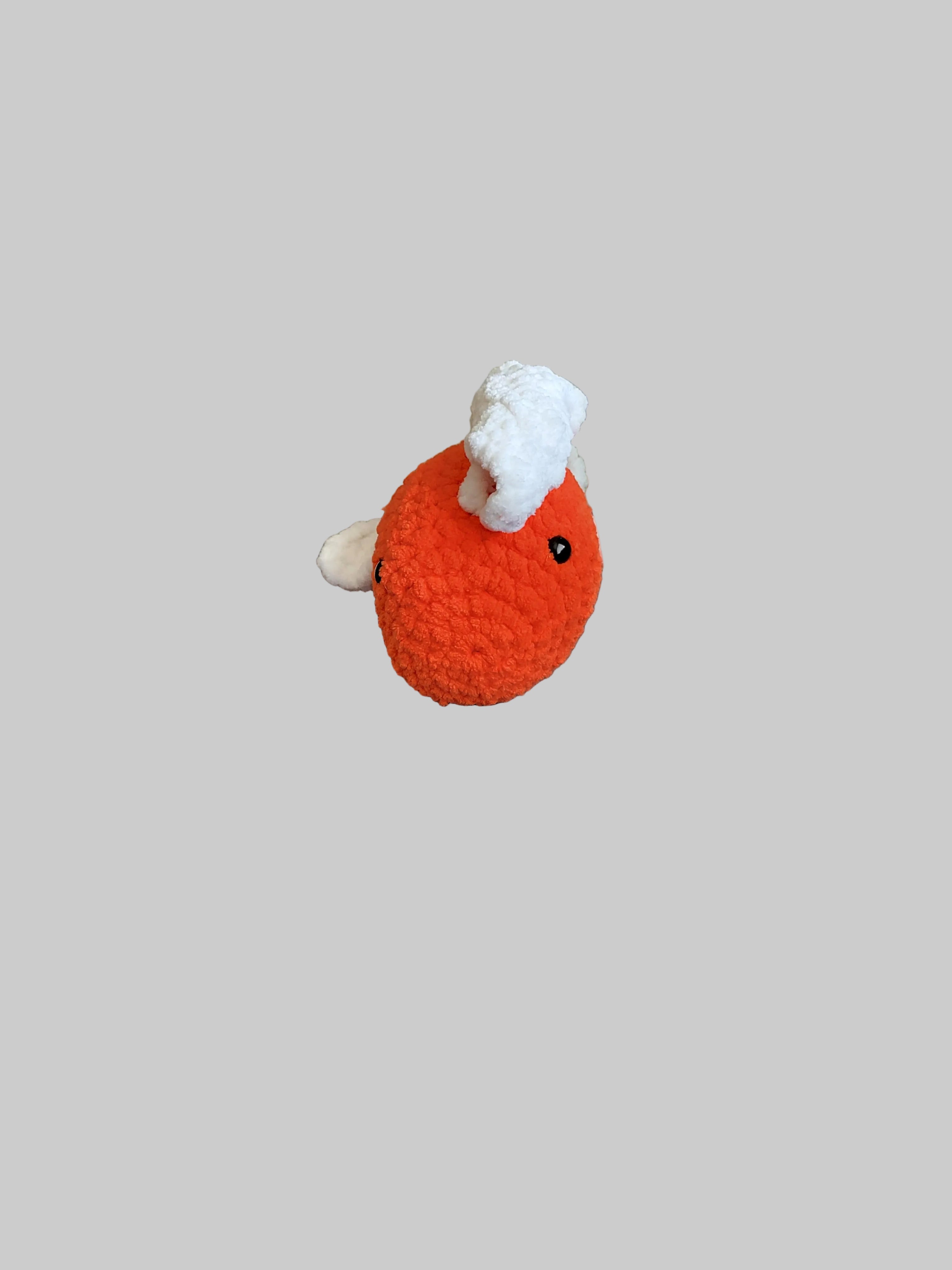 Cozy Coy Fish