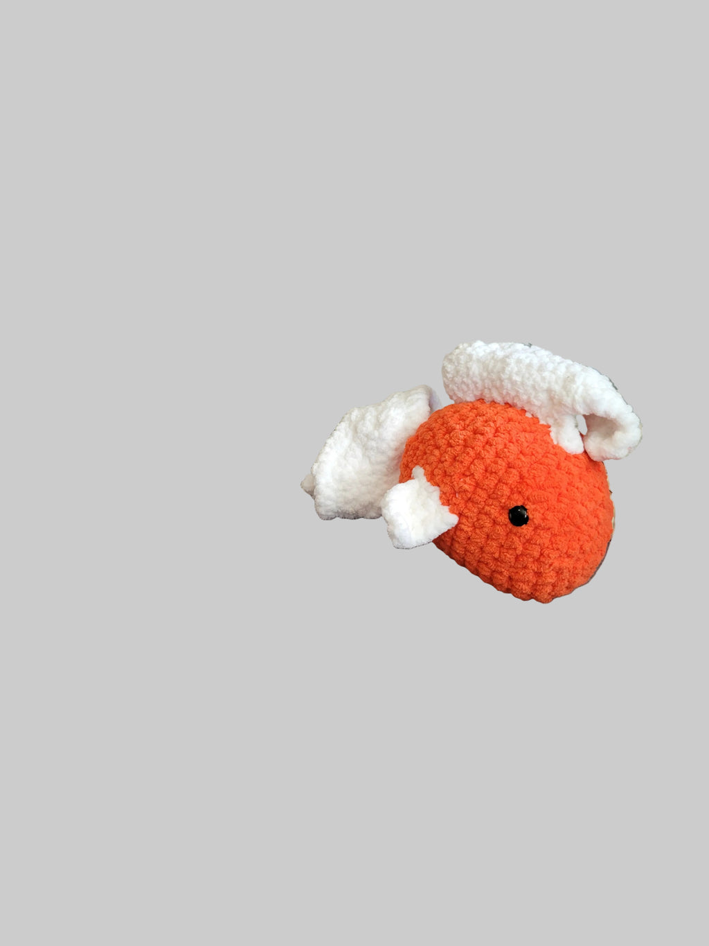Cozy Coy Fish