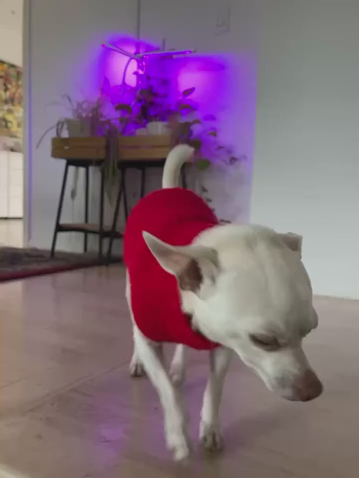 Dog/cat sweater