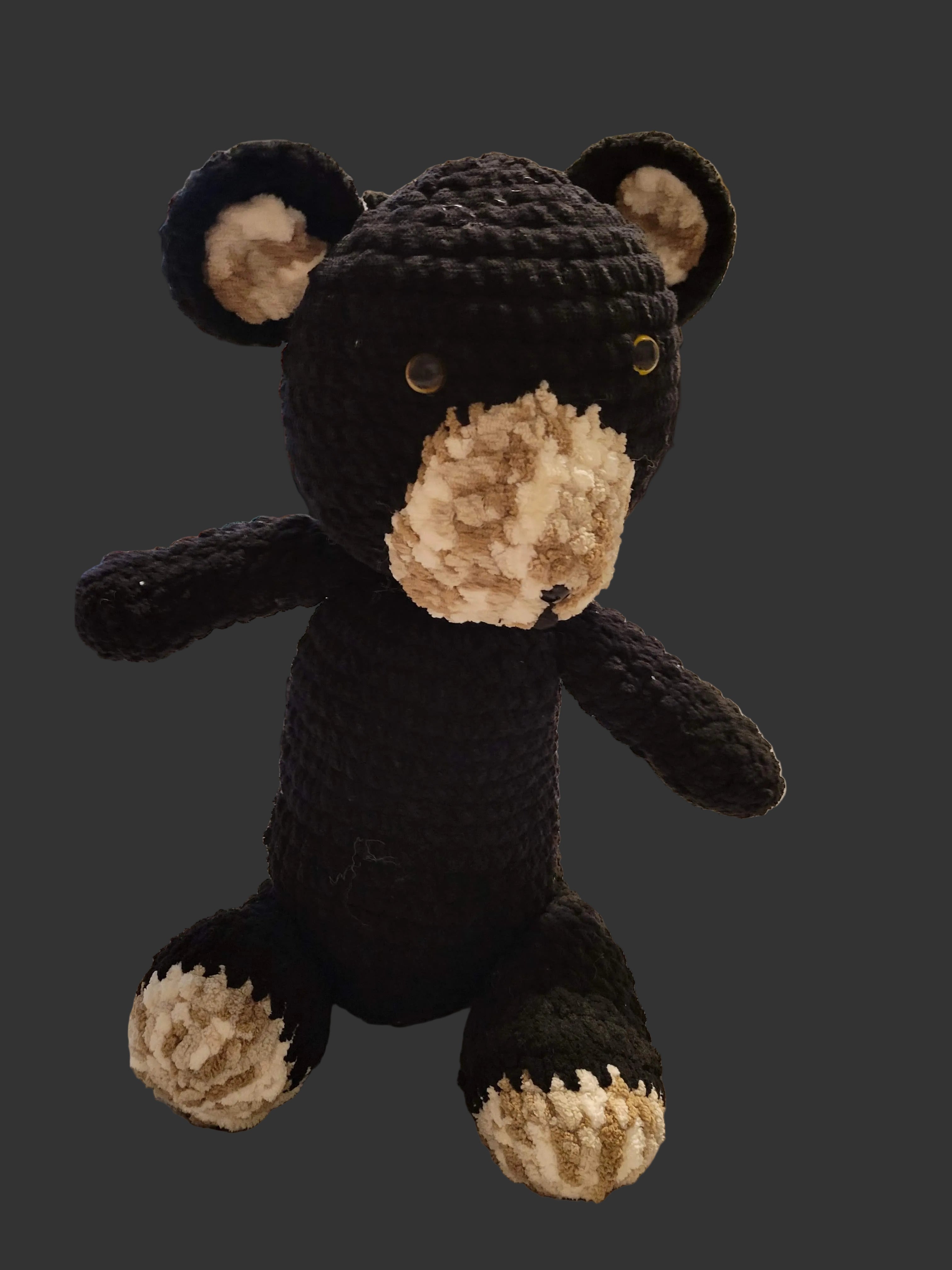 Burney the black bear